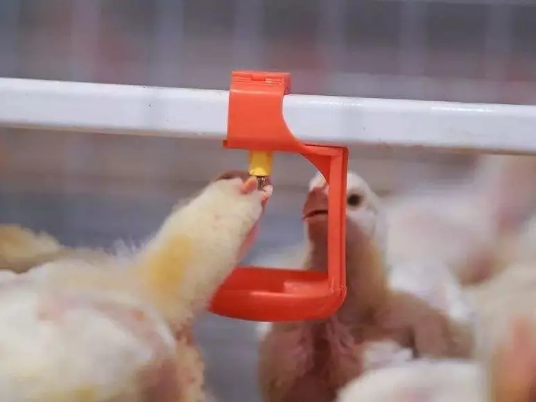 澳门十大电子游戏入口网站