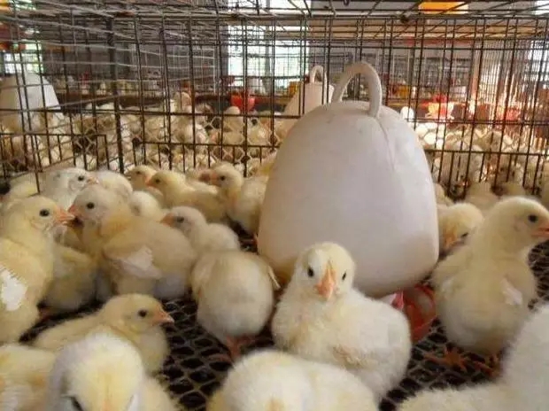 澳门十大电子游戏入口网站