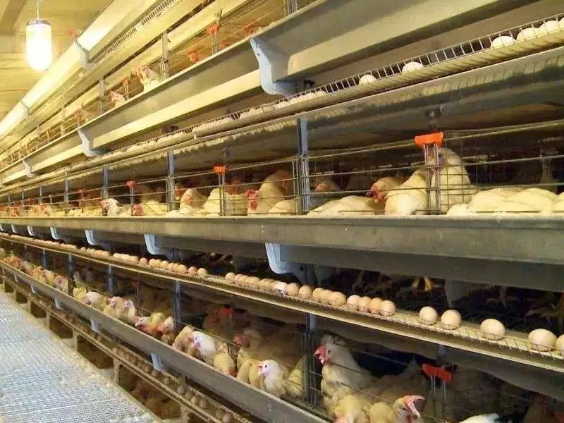 澳门十大电子游戏入口网站