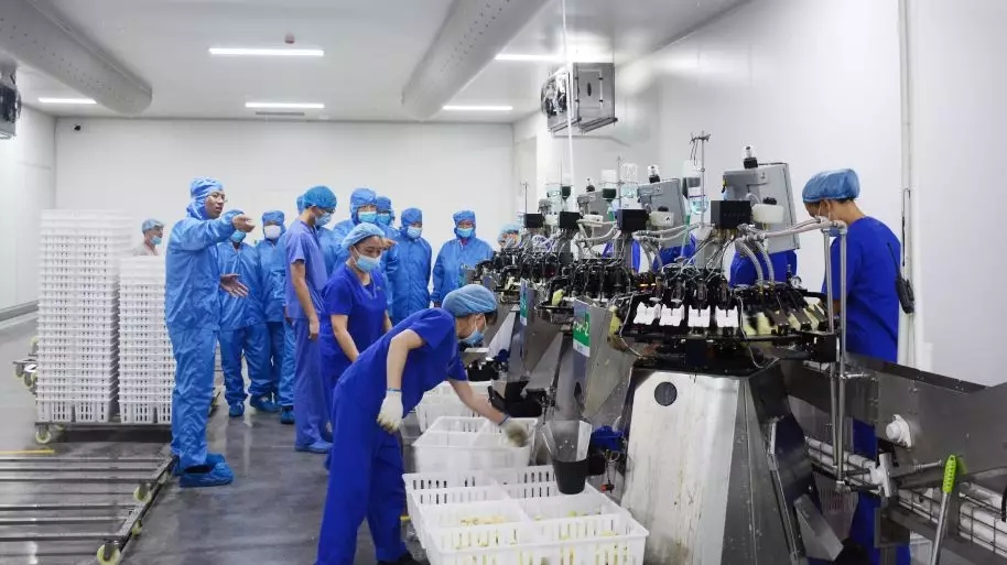 澳门十大电子游戏入口网站