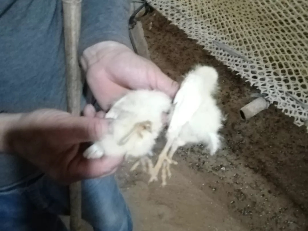 澳门十大电子游戏入口网站