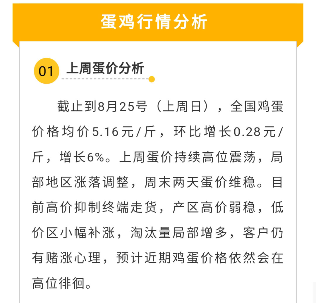 澳门十大电子游戏入口网站
