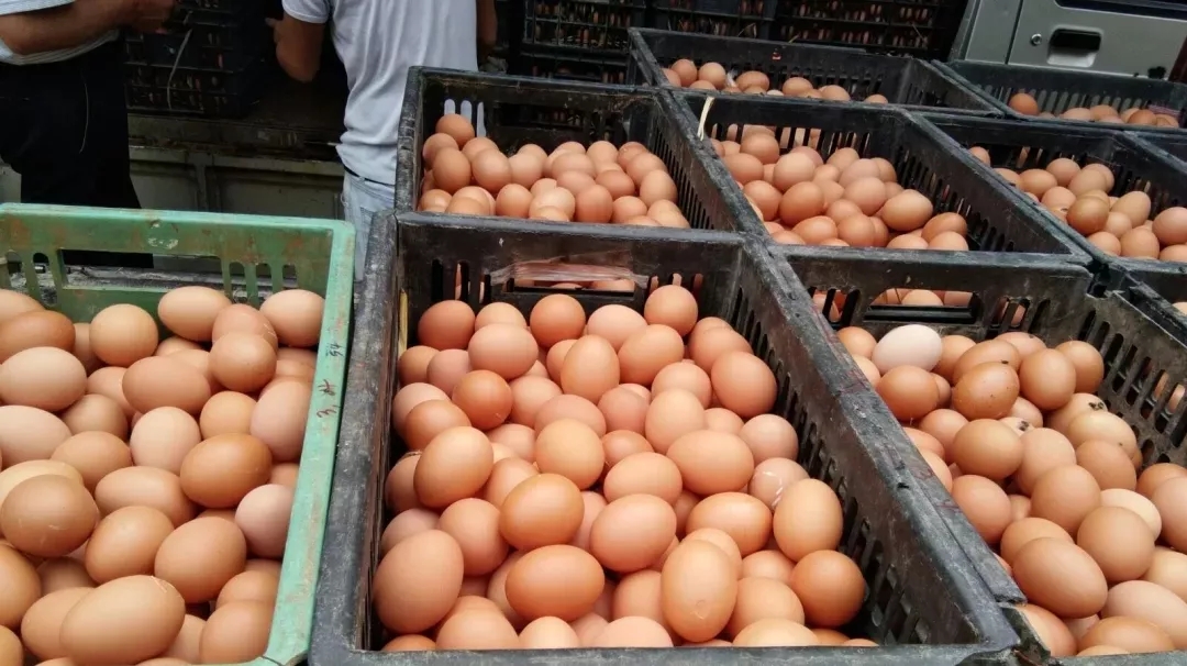 澳门十大电子游戏入口网站