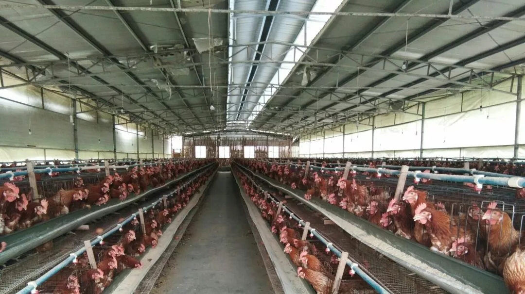 澳门十大电子游戏入口网站