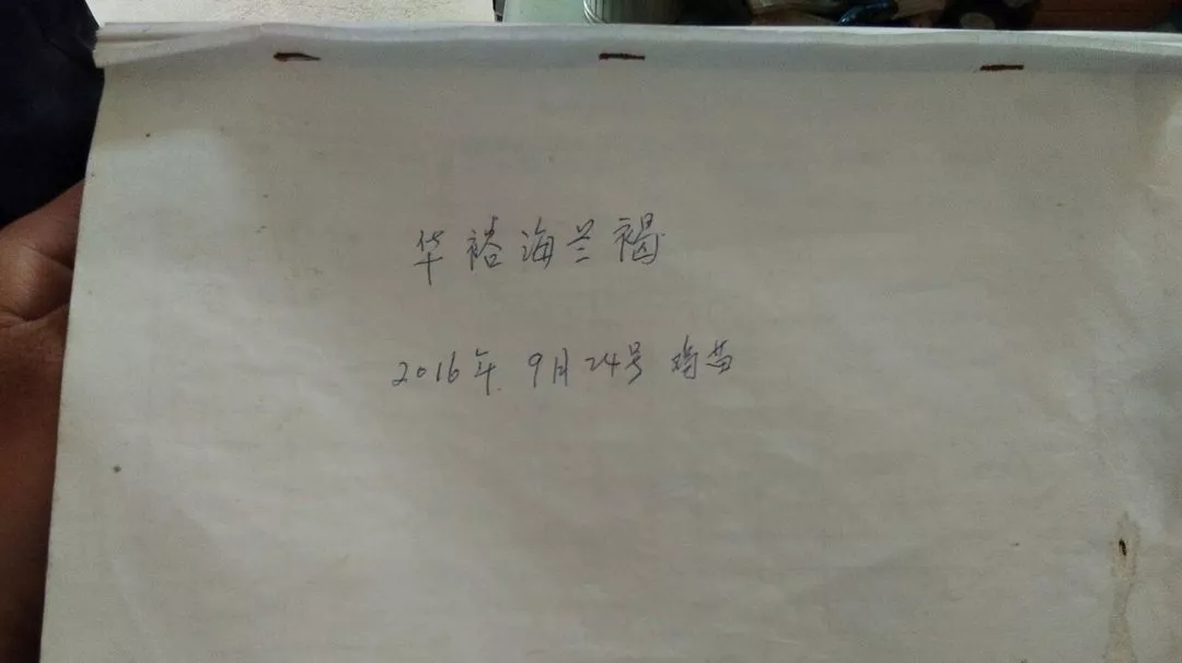 澳门十大电子游戏入口网站