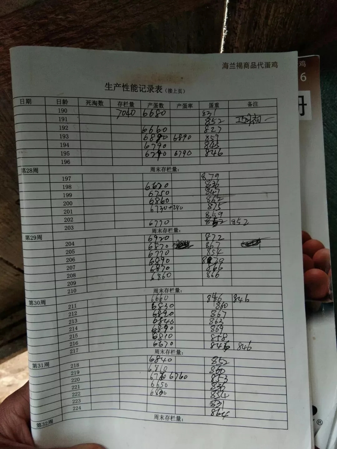 澳门十大电子游戏入口网站