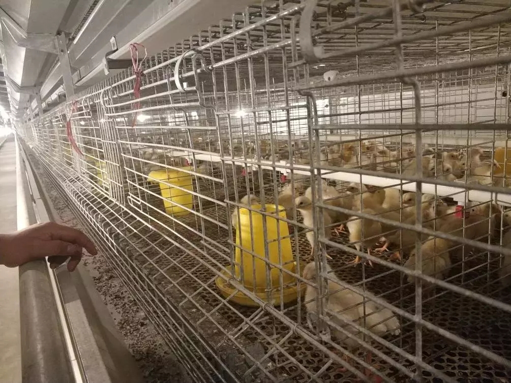 澳门十大电子游戏入口网站