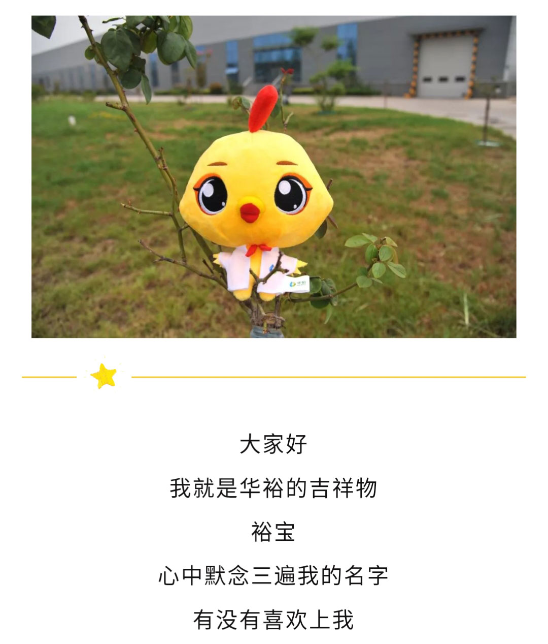 澳门十大电子游戏入口网站