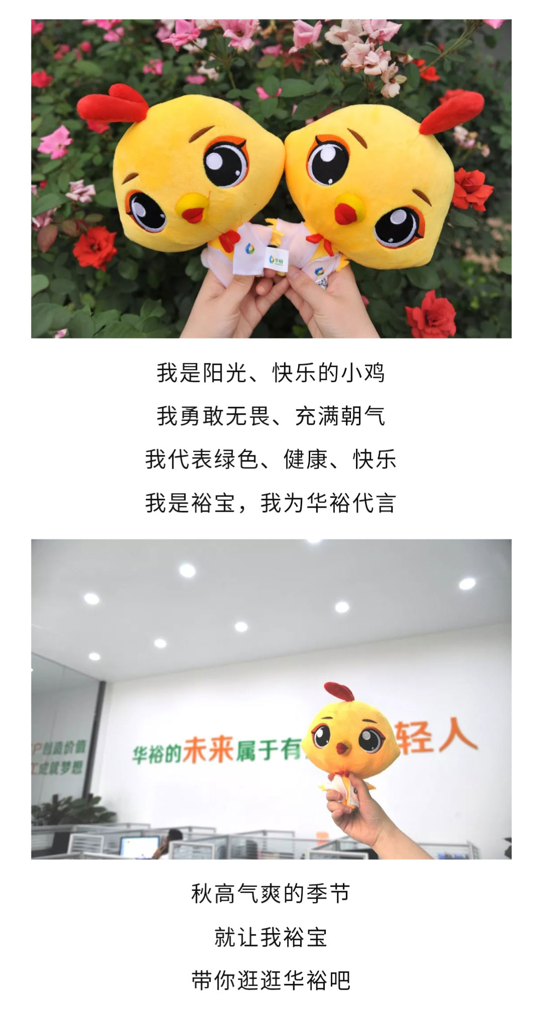 澳门十大电子游戏入口网站