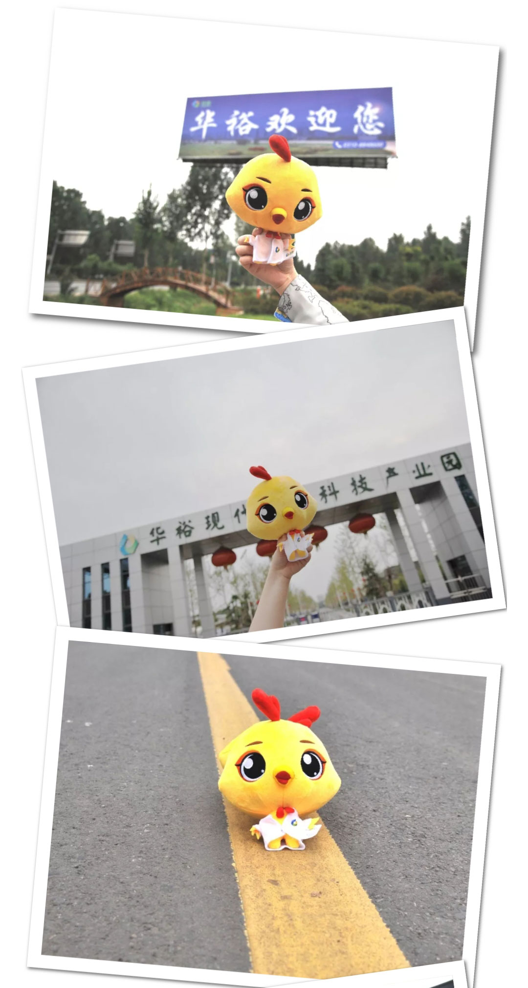 澳门十大电子游戏入口网站