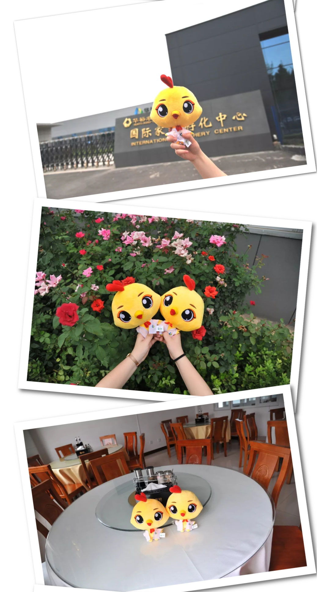 澳门十大电子游戏入口网站