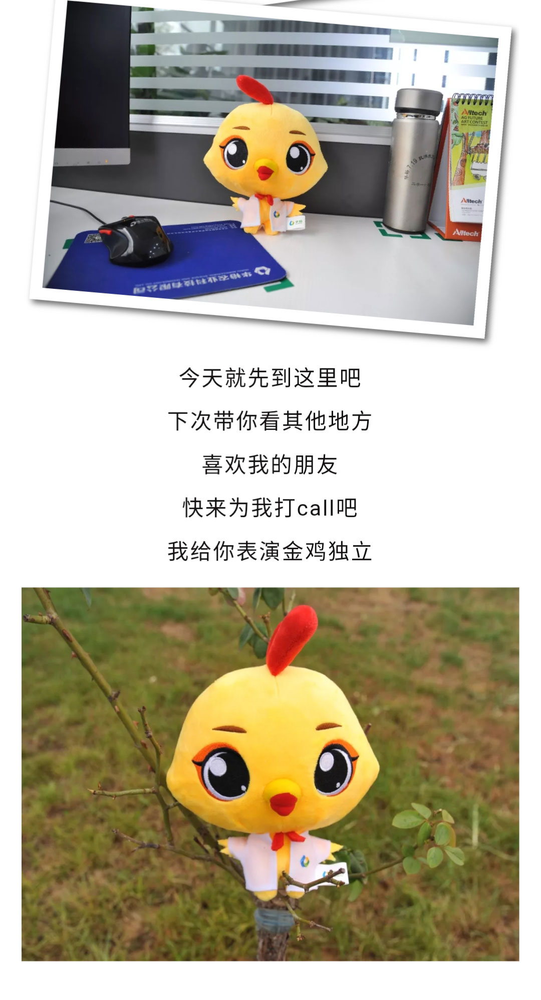 澳门十大电子游戏入口网站