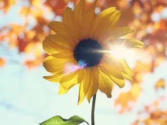 澳门十大电子游戏入口网站