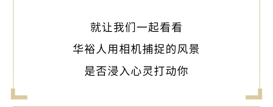 澳门十大电子游戏入口网站