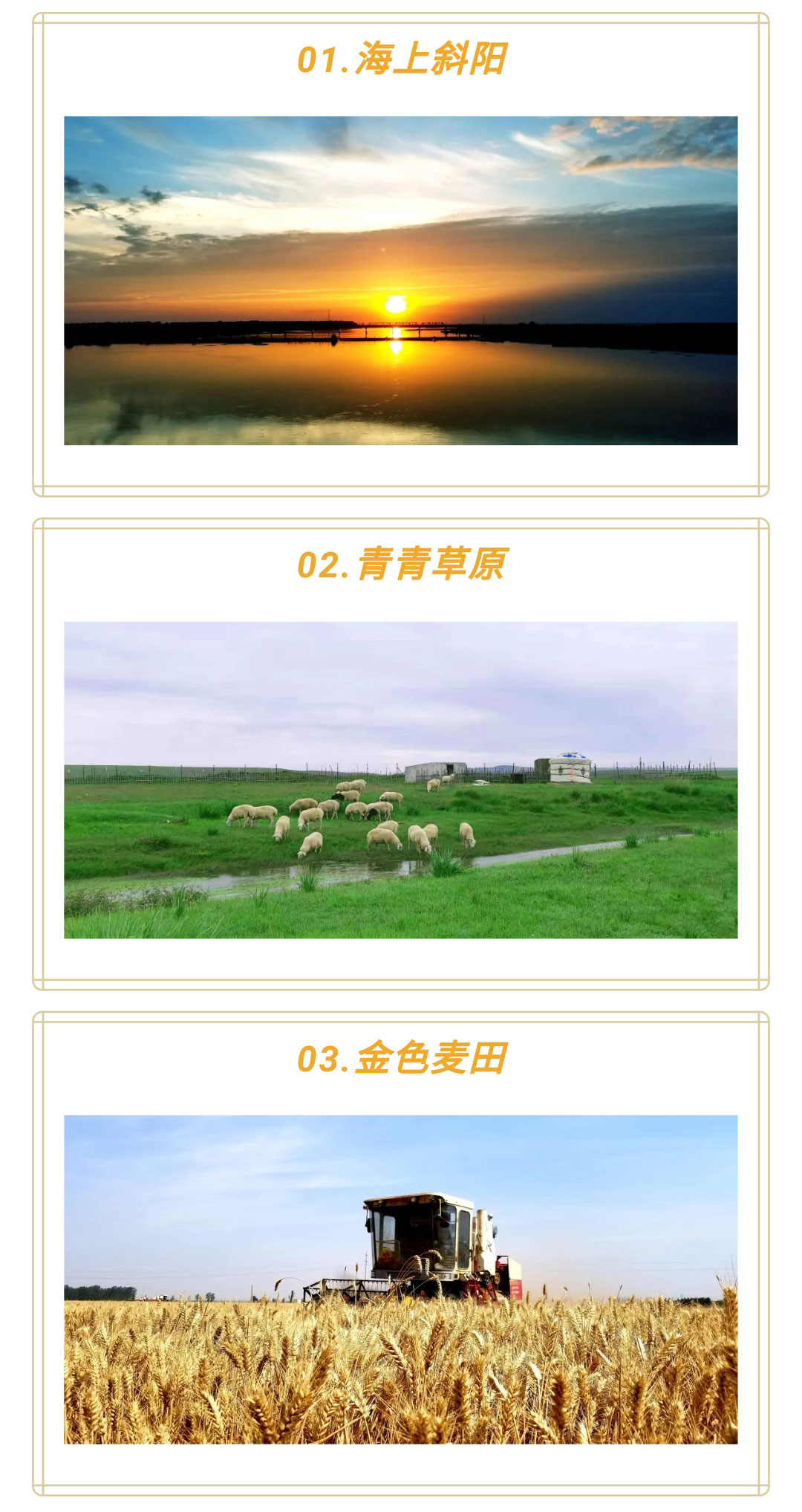澳门十大电子游戏入口网站