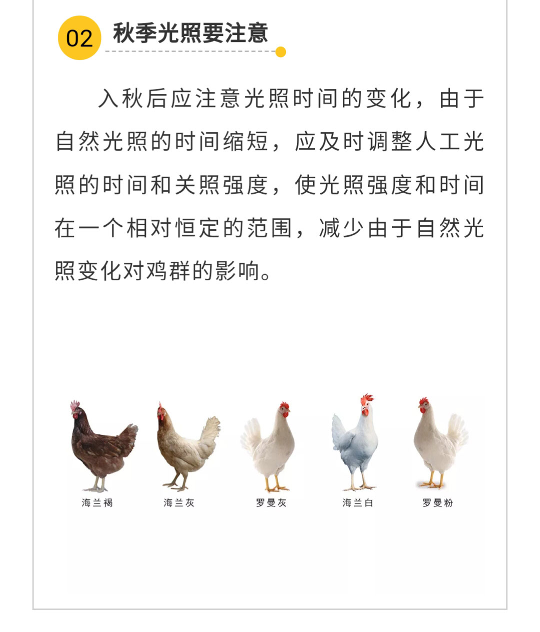 澳门十大电子游戏入口网站