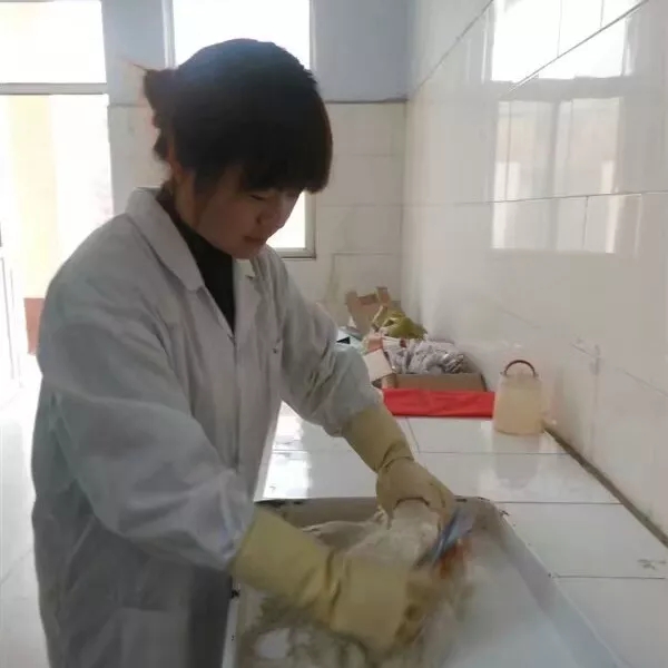 澳门十大电子游戏入口网站