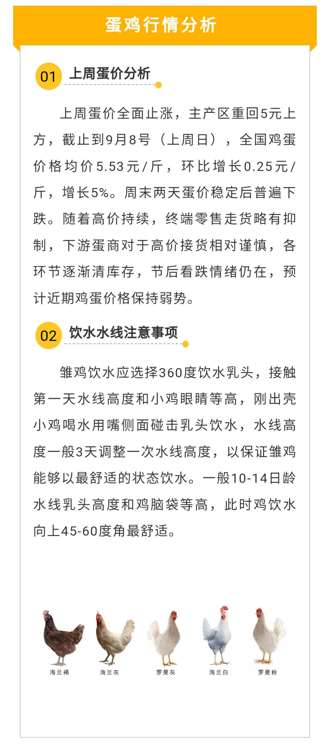 澳门十大电子游戏入口网站