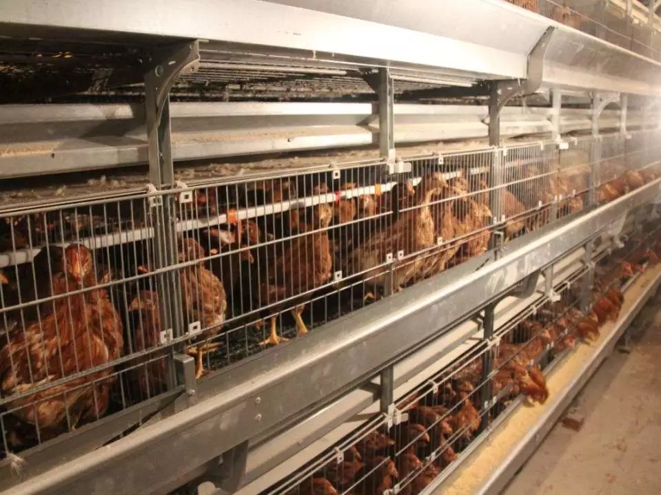 澳门十大电子游戏入口网站