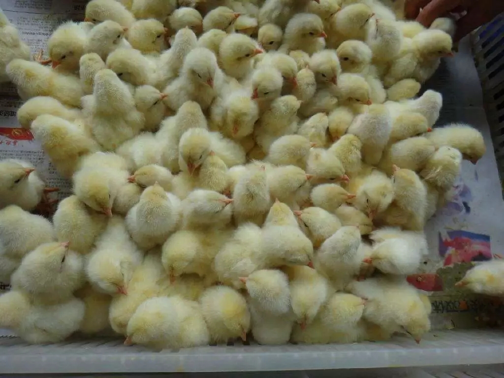 澳门十大电子游戏入口网站