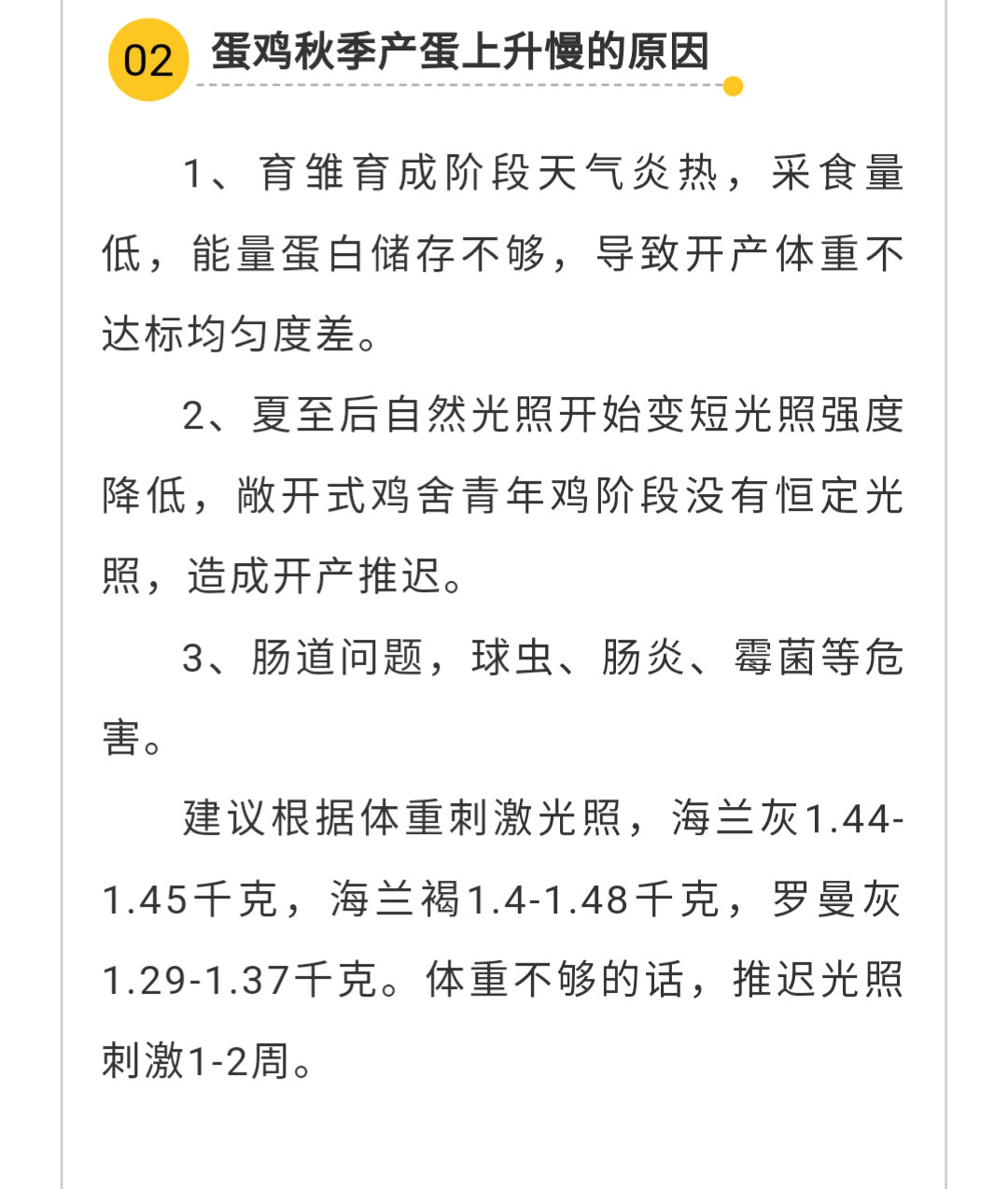 澳门十大电子游戏入口网站