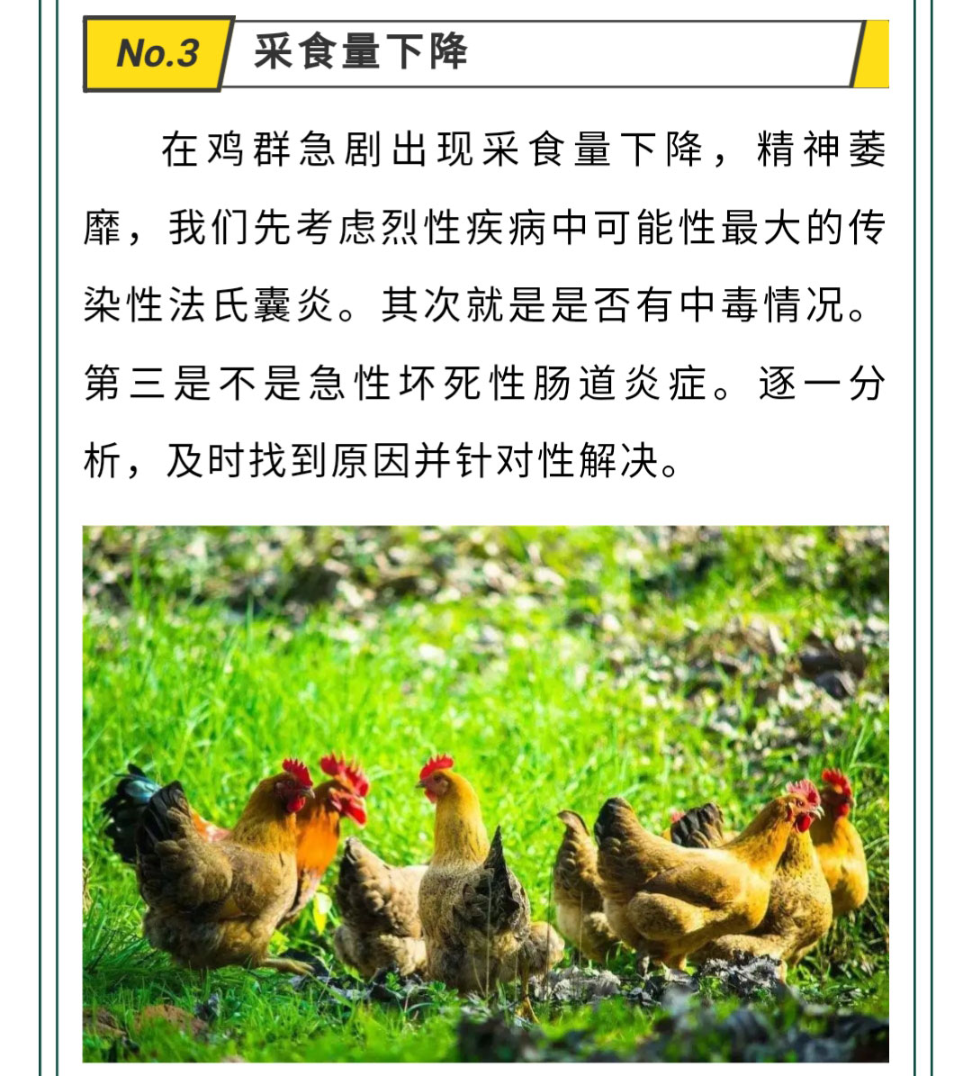 澳门十大电子游戏入口网站