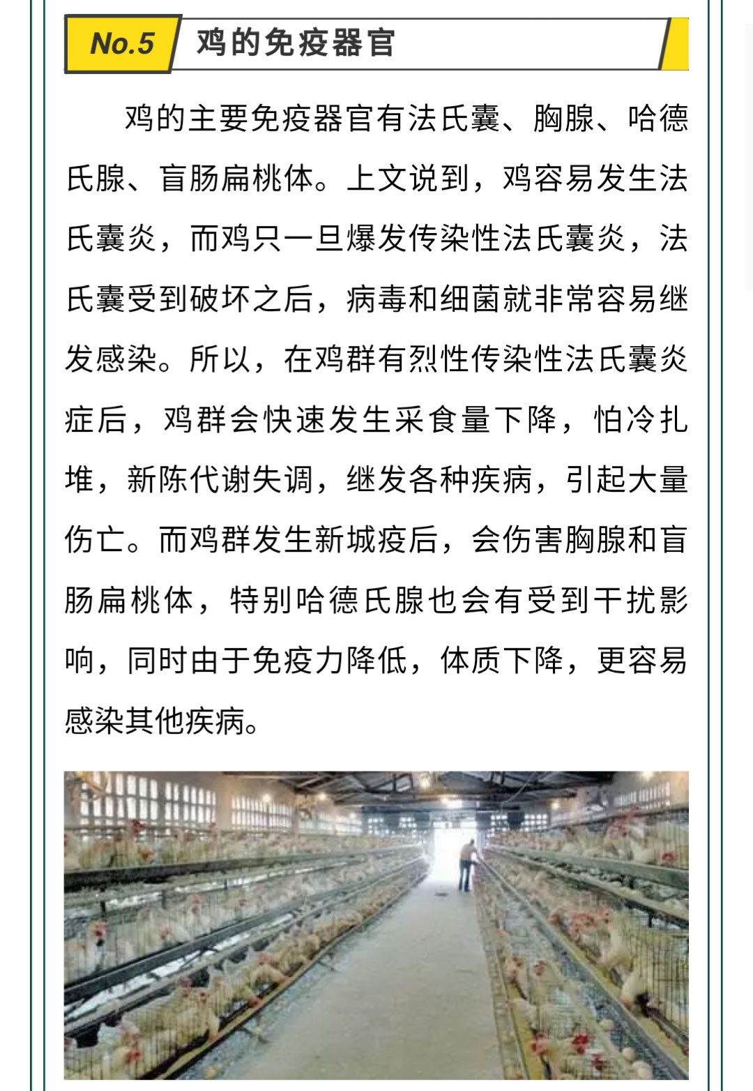 澳门十大电子游戏入口网站