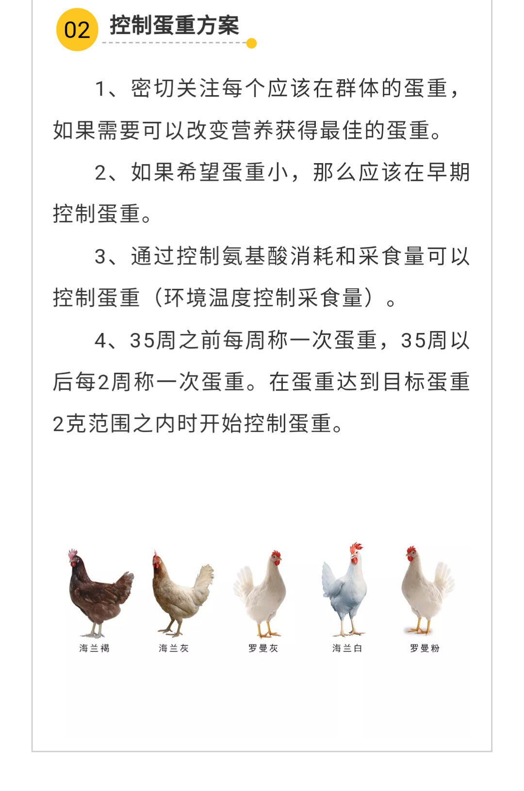 澳门十大电子游戏入口网站