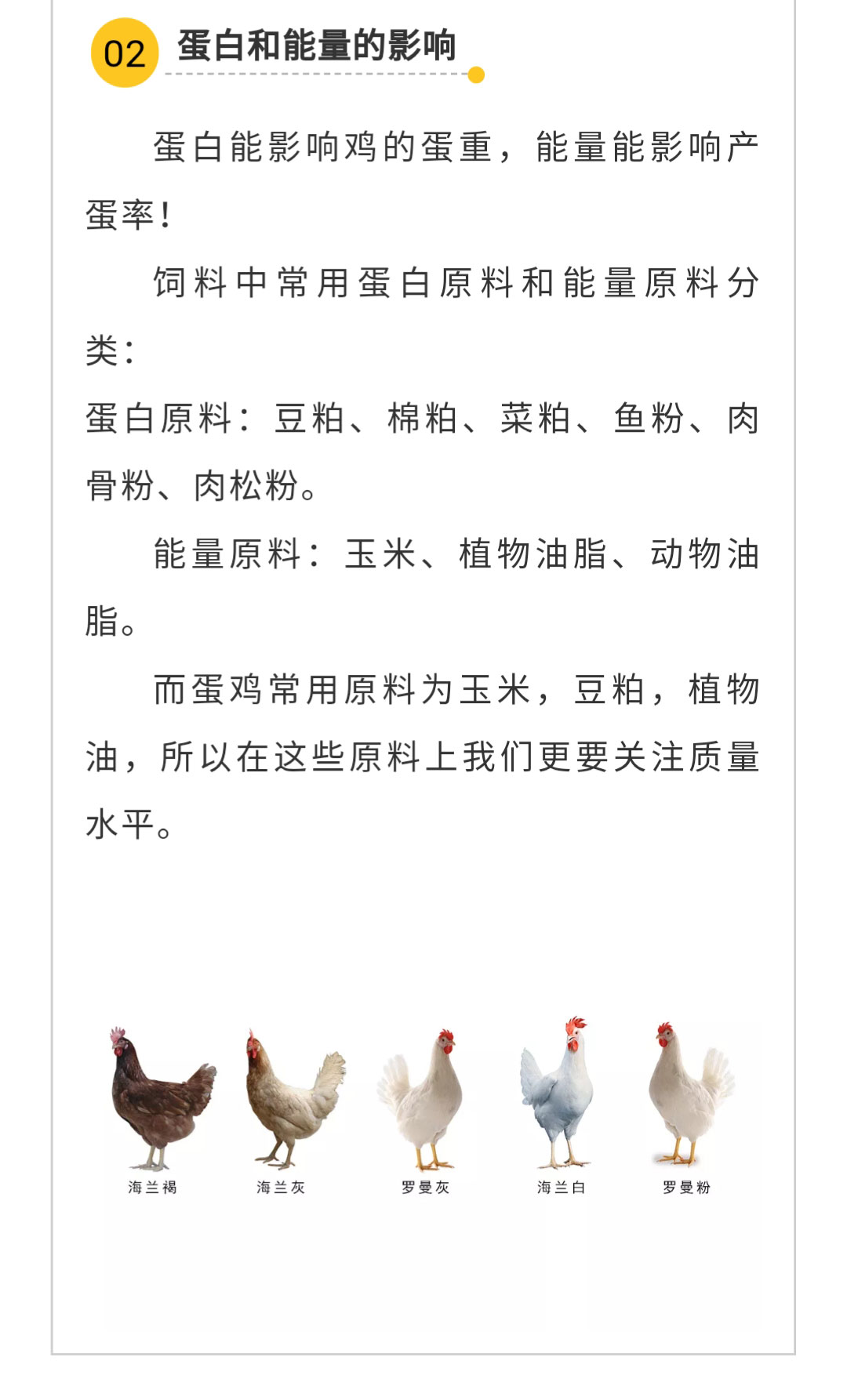 澳门十大电子游戏入口网站