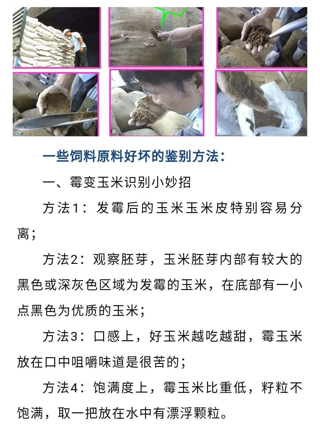 澳门十大电子游戏入口网站