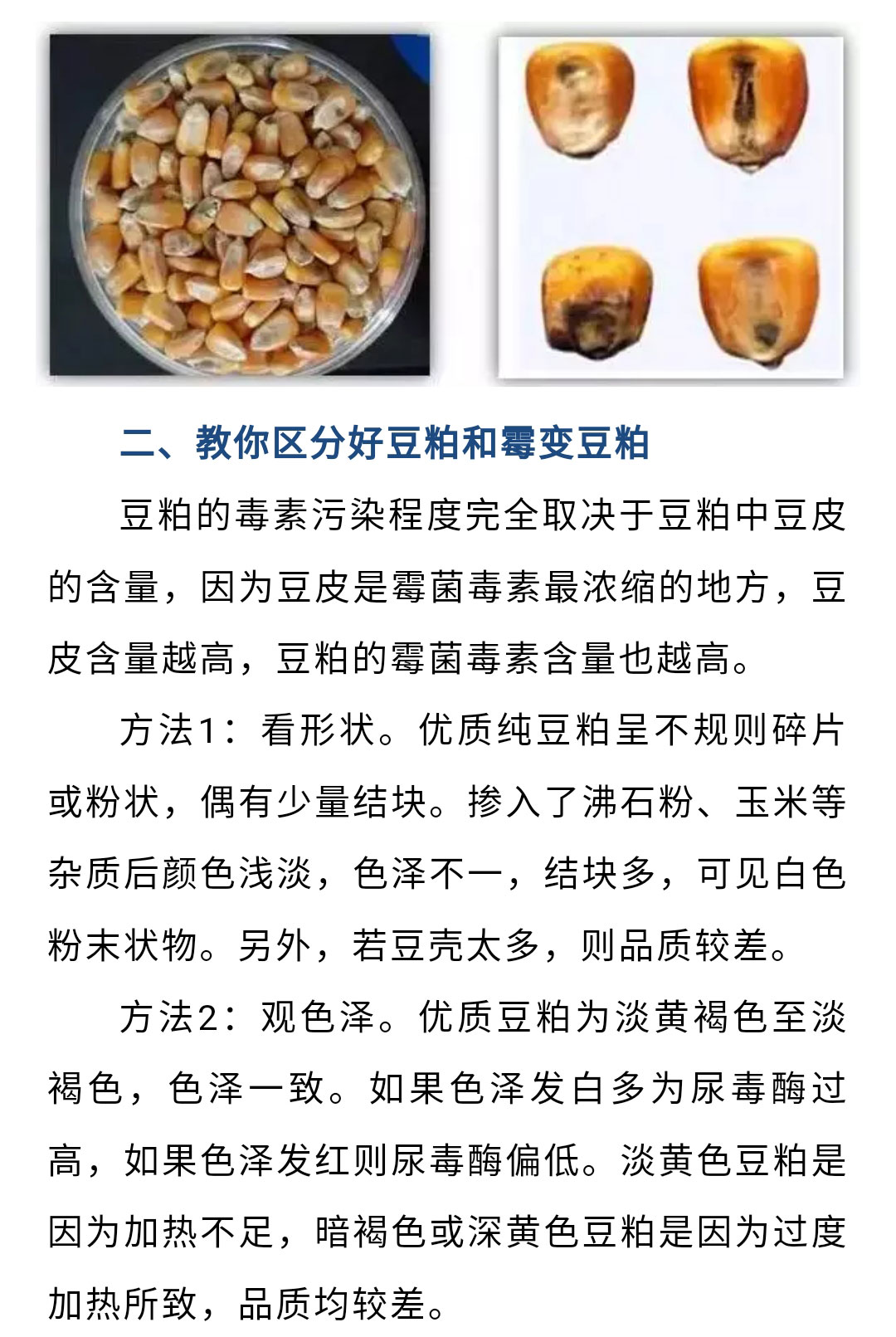澳门十大电子游戏入口网站
