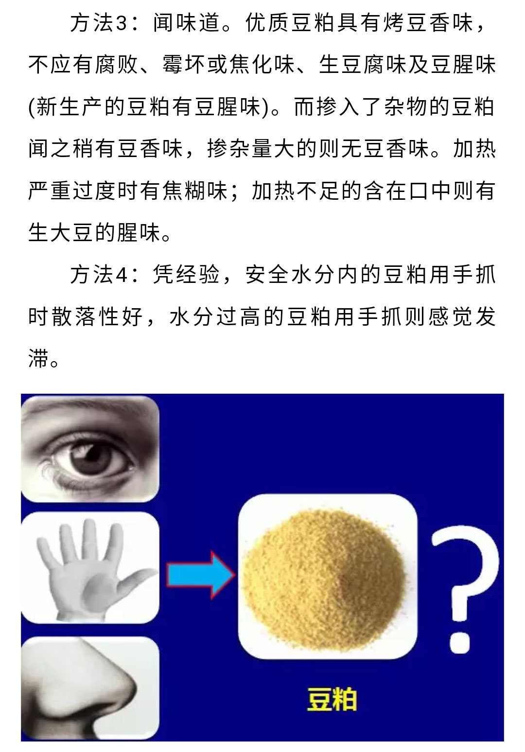 澳门十大电子游戏入口网站