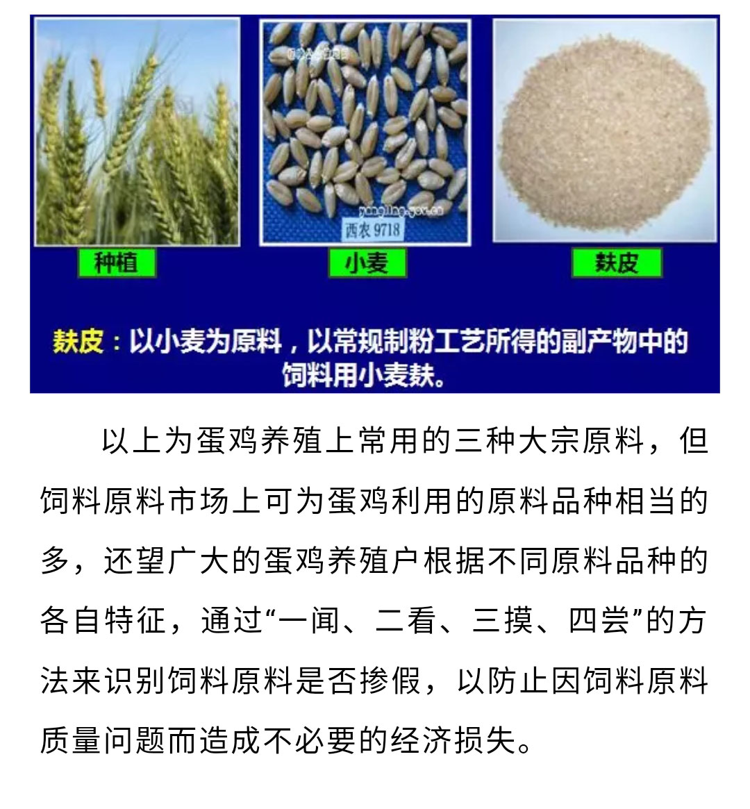 澳门十大电子游戏入口网站