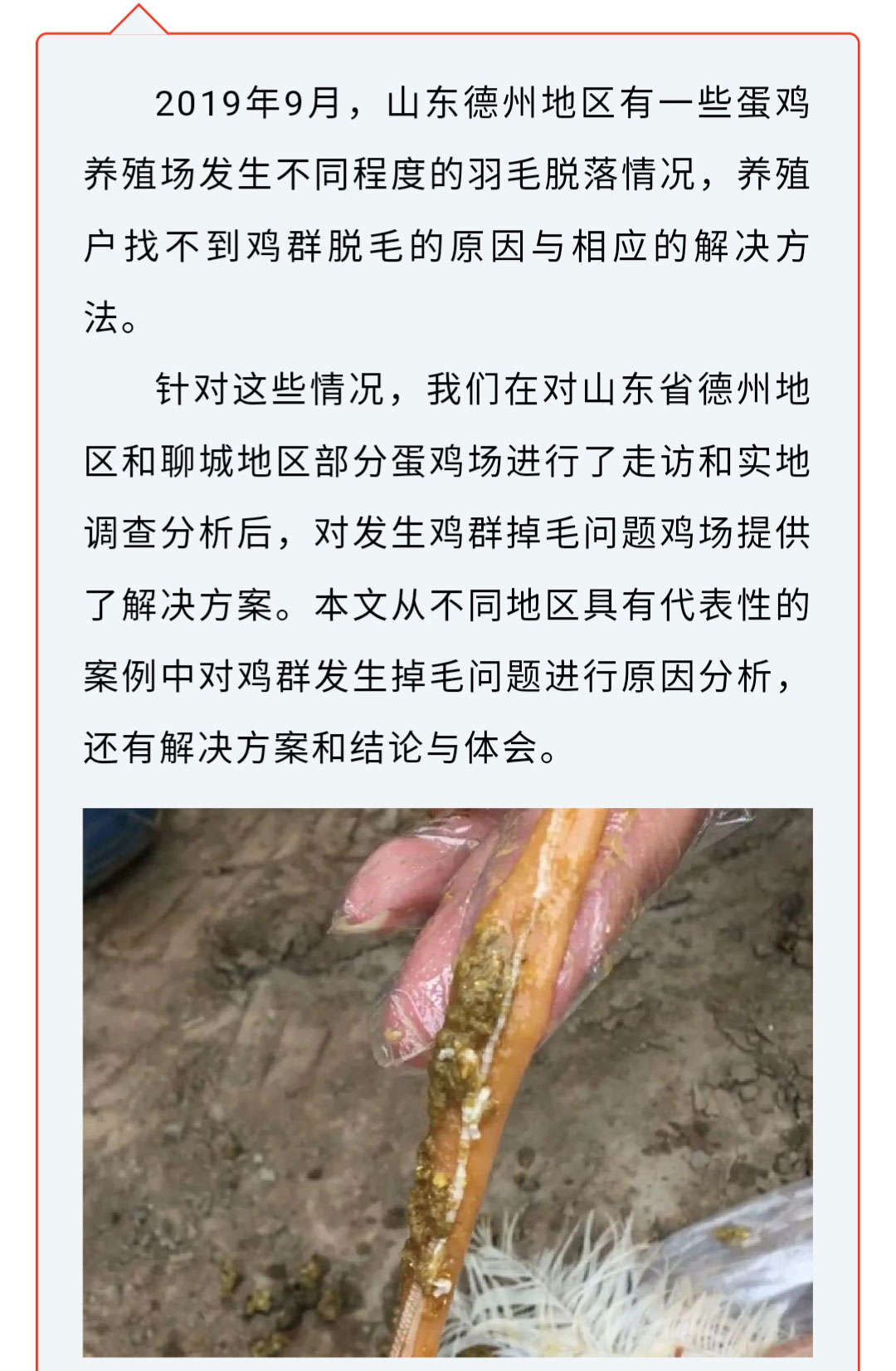 澳门十大电子游戏入口网站