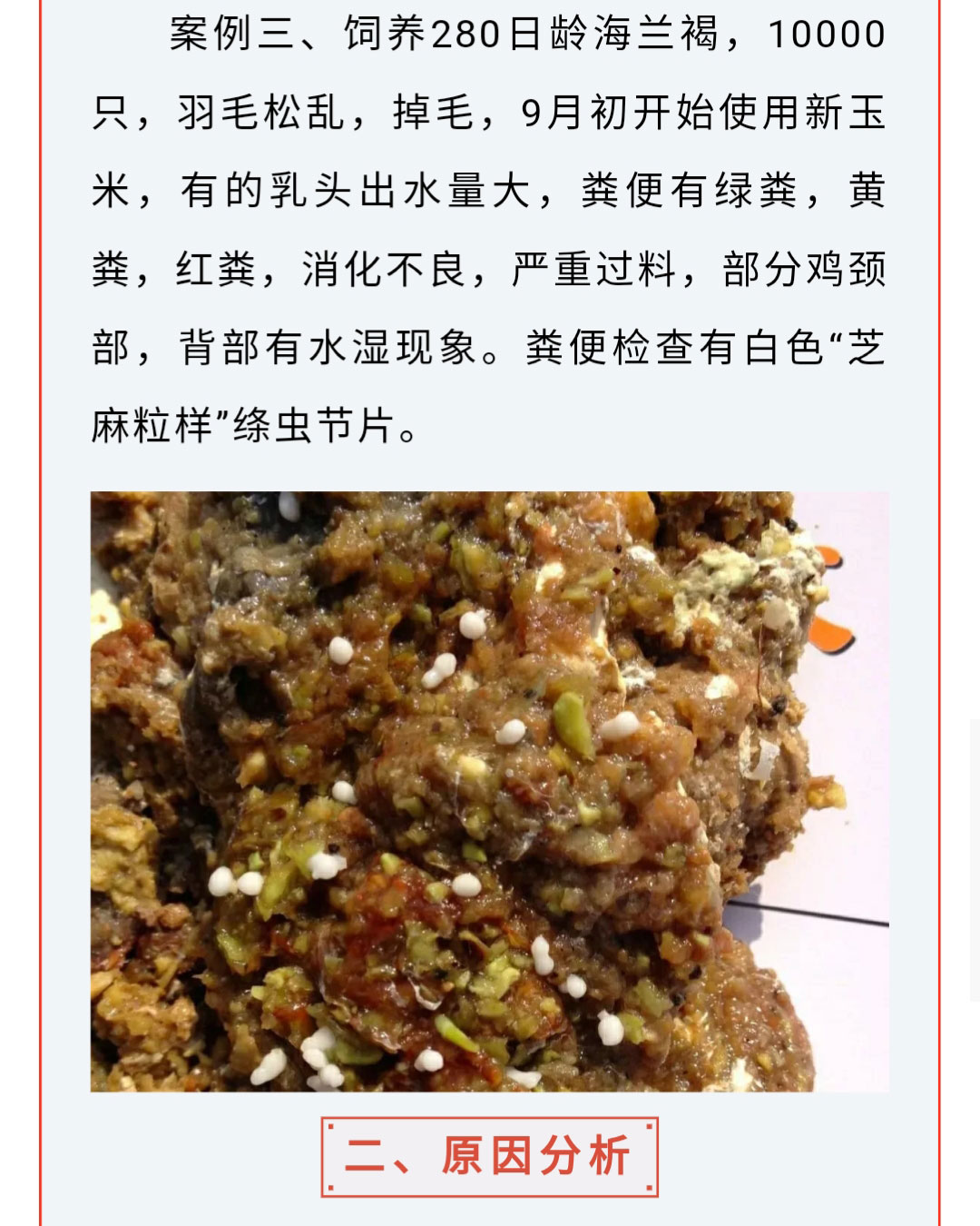 澳门十大电子游戏入口网站