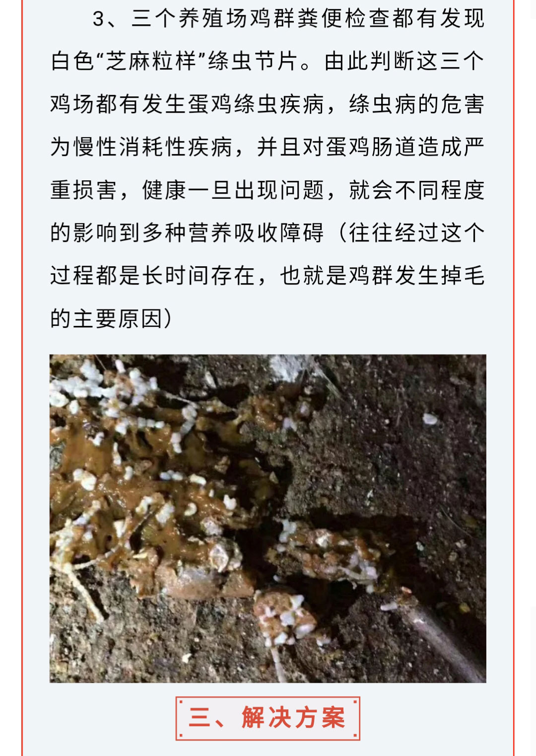 澳门十大电子游戏入口网站