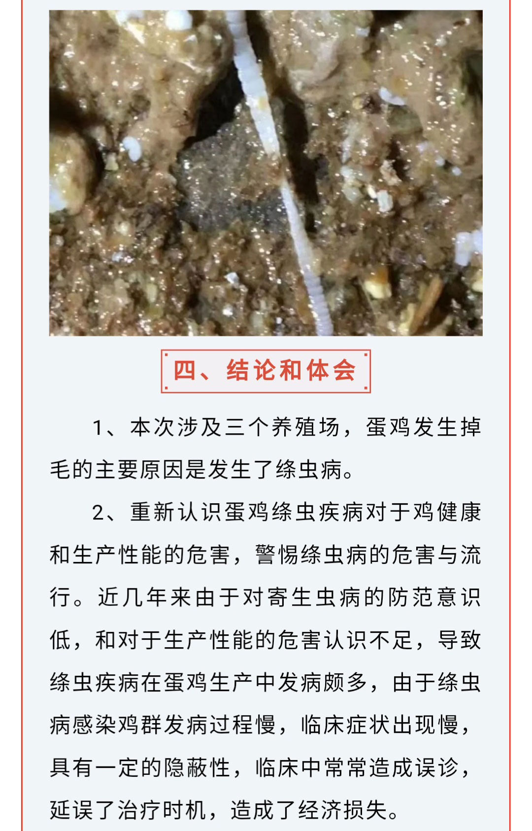 澳门十大电子游戏入口网站