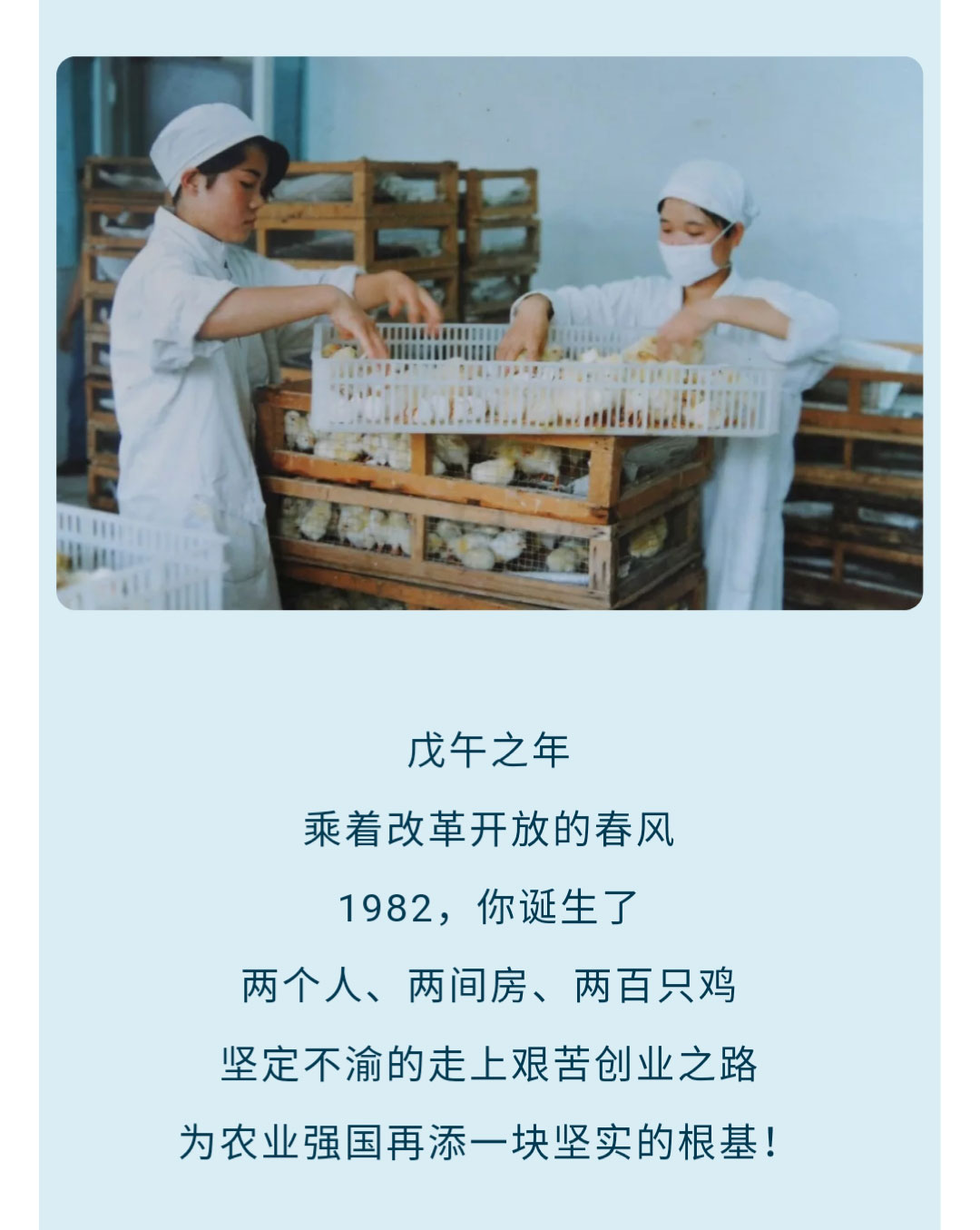 澳门十大电子游戏入口网站