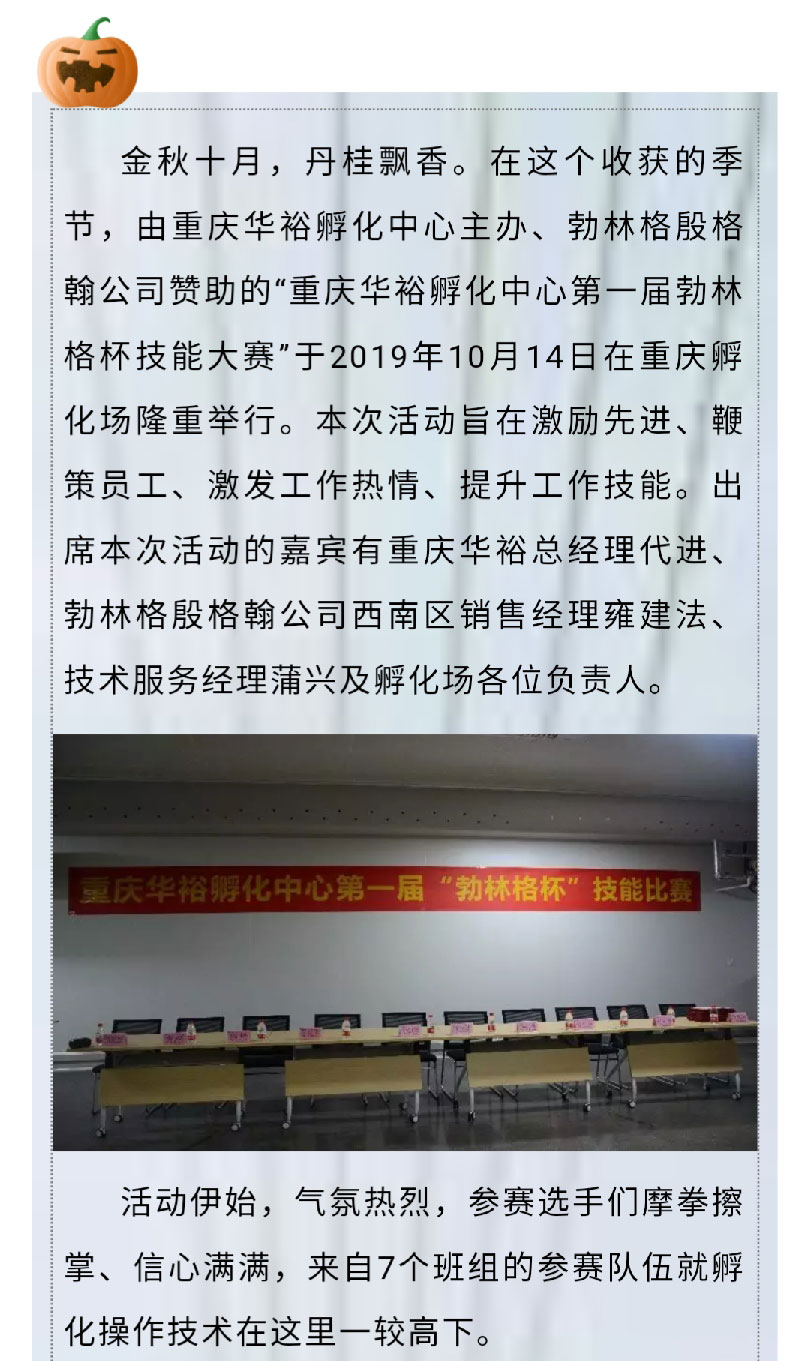 澳门十大电子游戏入口网站