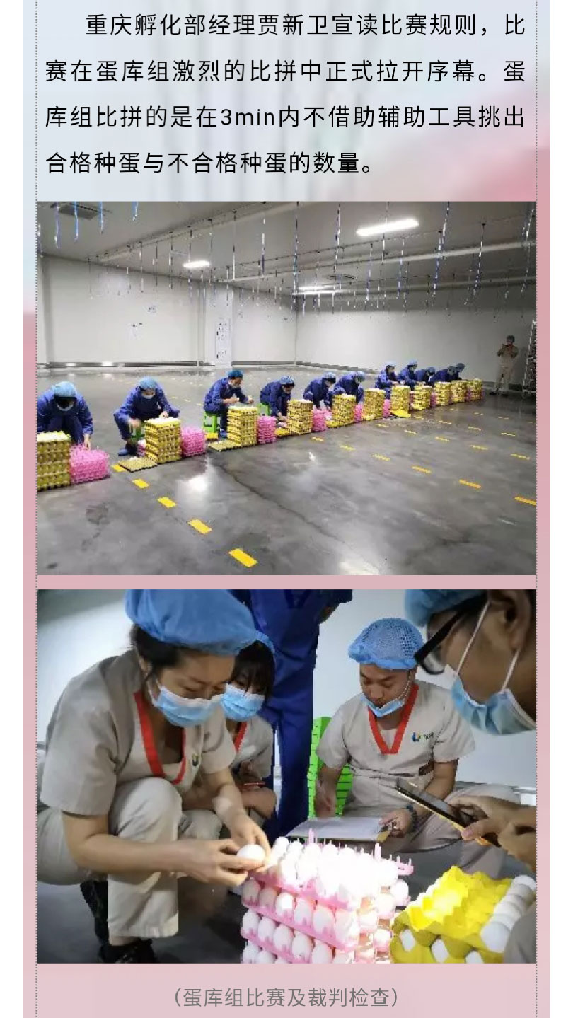 澳门十大电子游戏入口网站