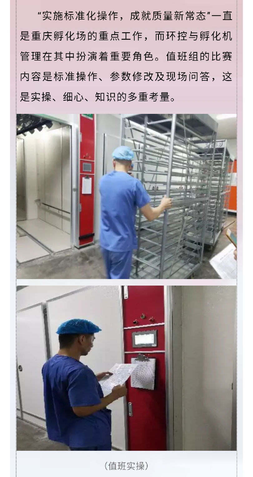 澳门十大电子游戏入口网站