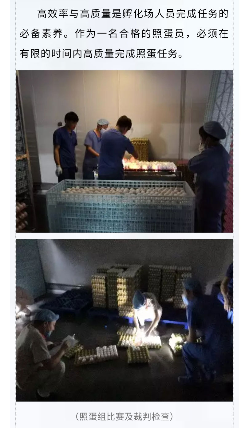 澳门十大电子游戏入口网站