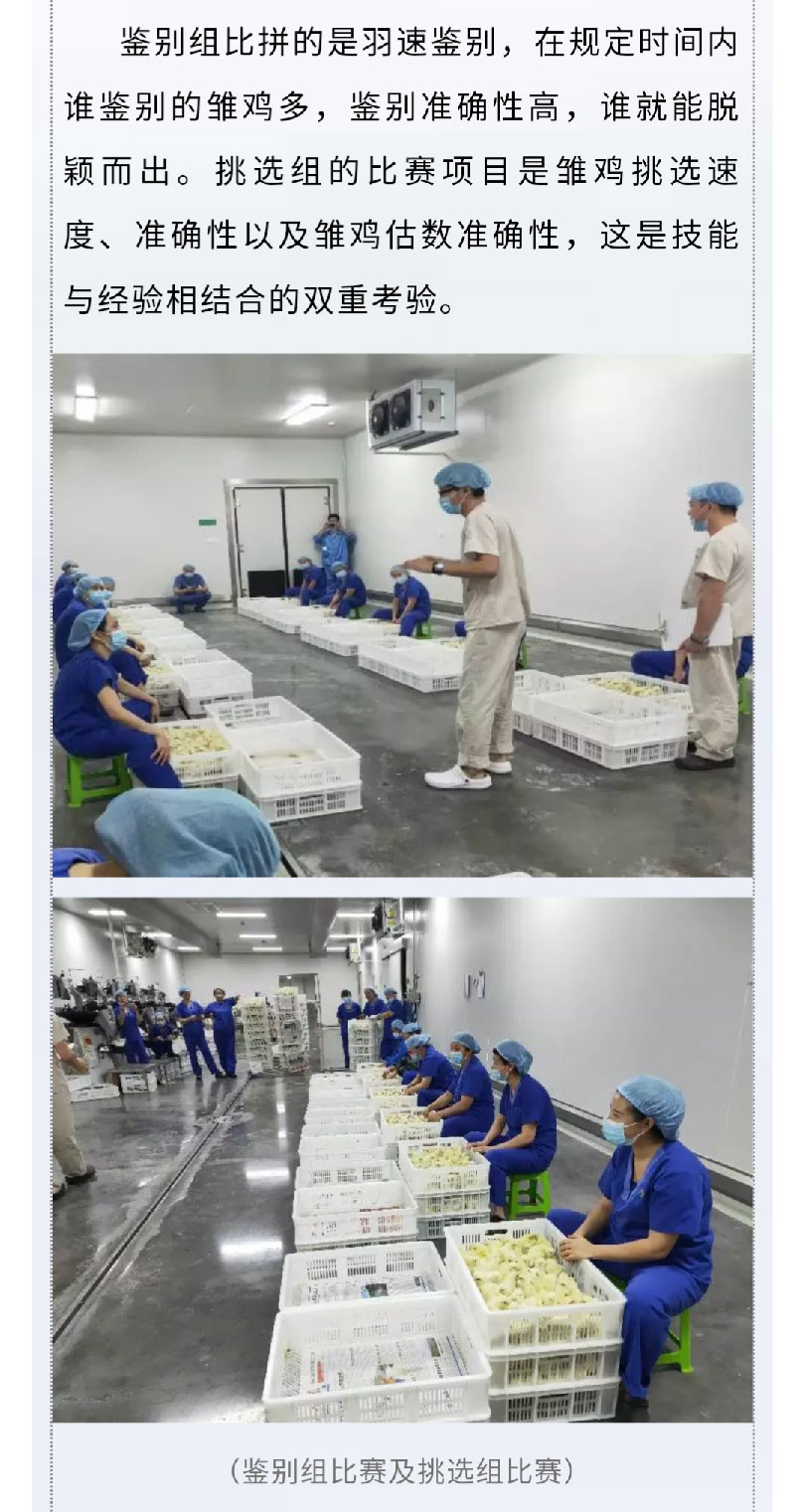 澳门十大电子游戏入口网站