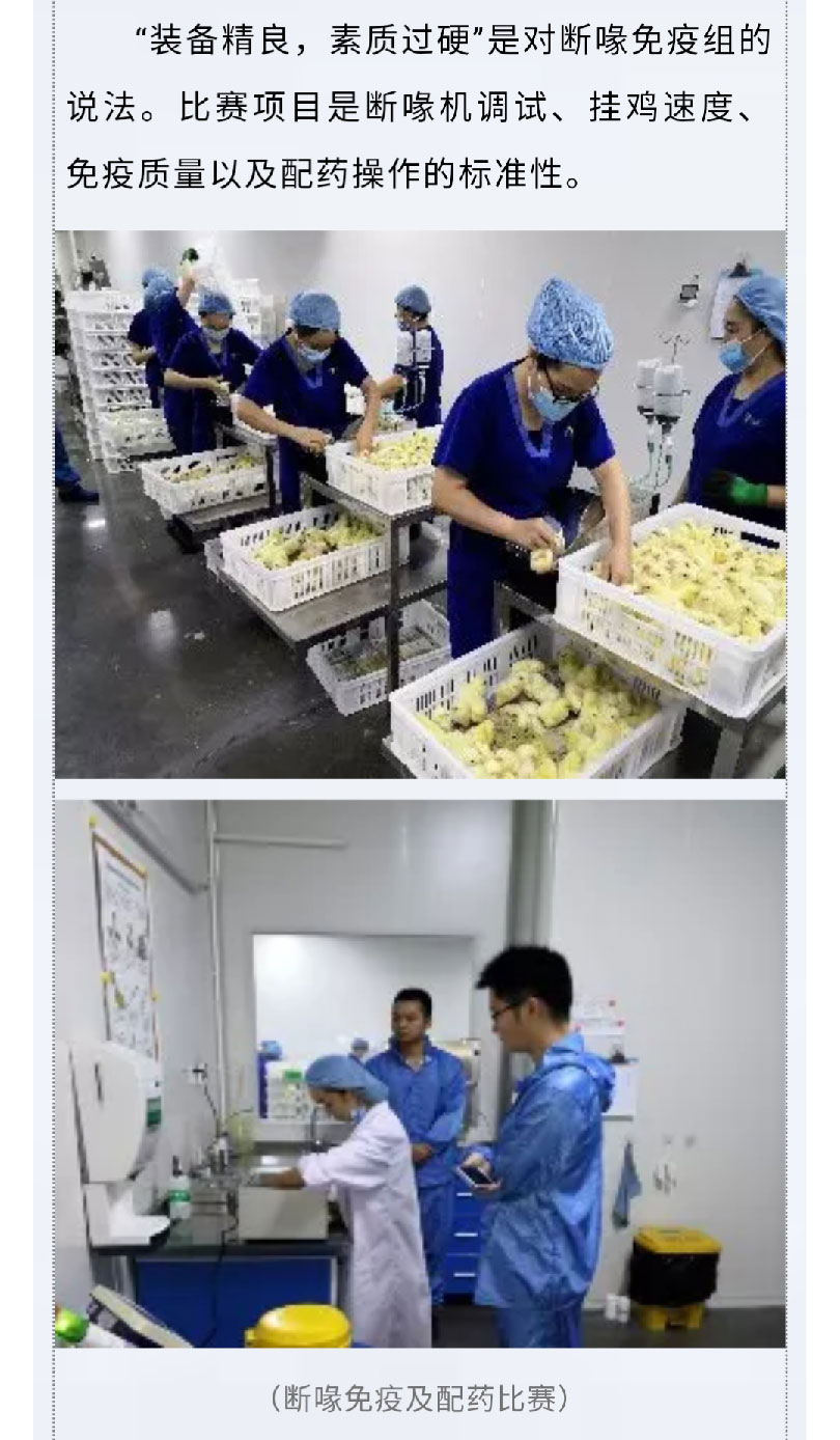 澳门十大电子游戏入口网站