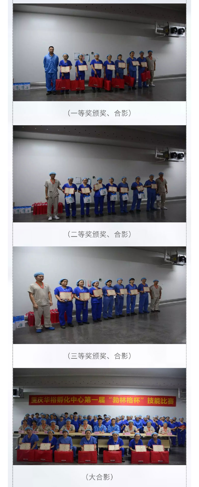 澳门十大电子游戏入口网站