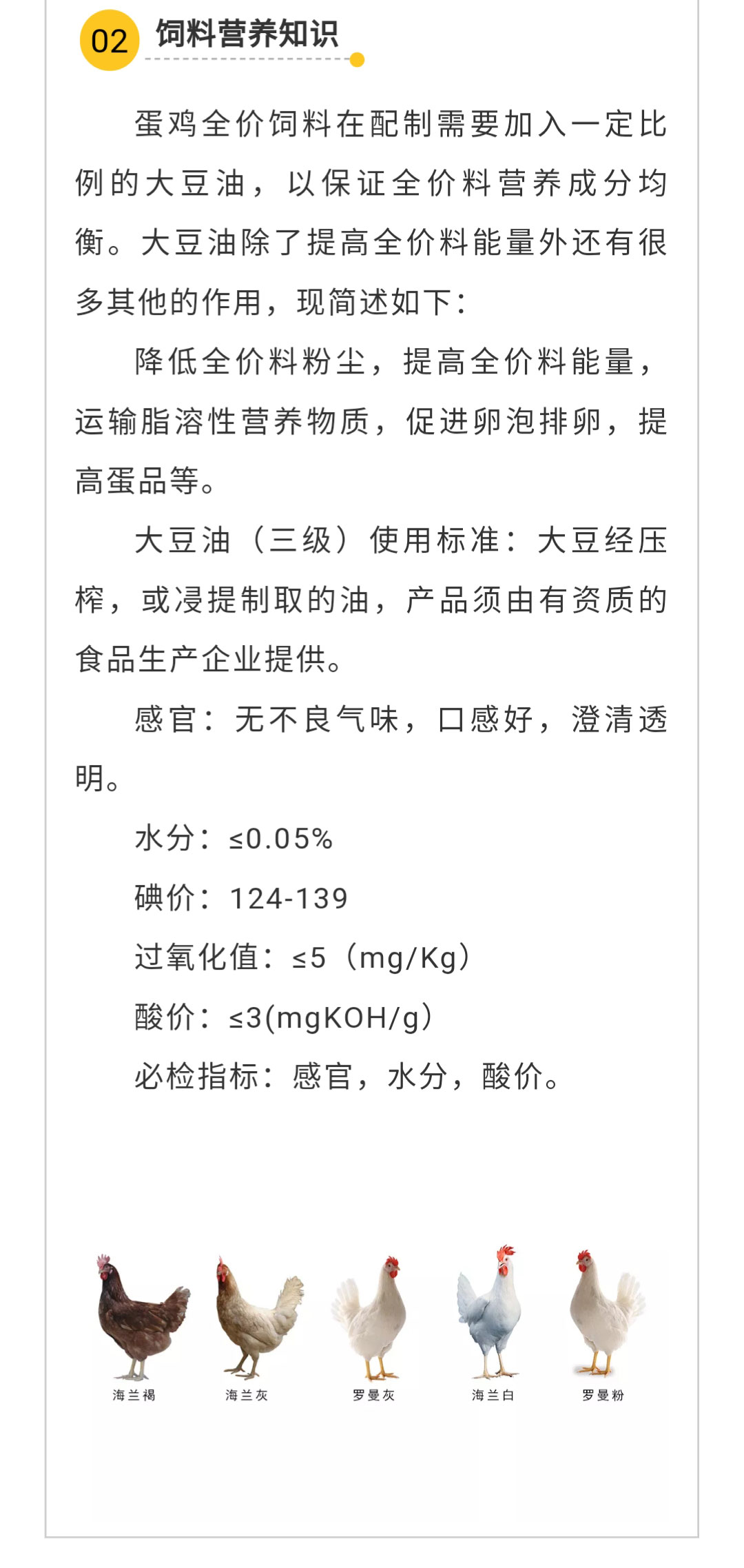 澳门十大电子游戏入口网站