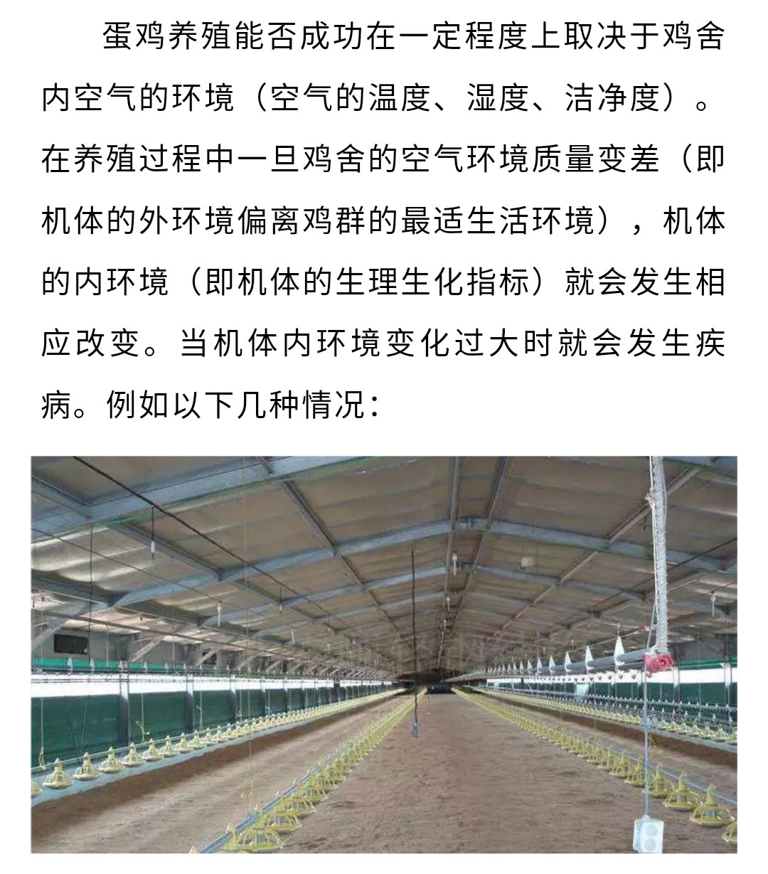 澳门十大电子游戏入口网站