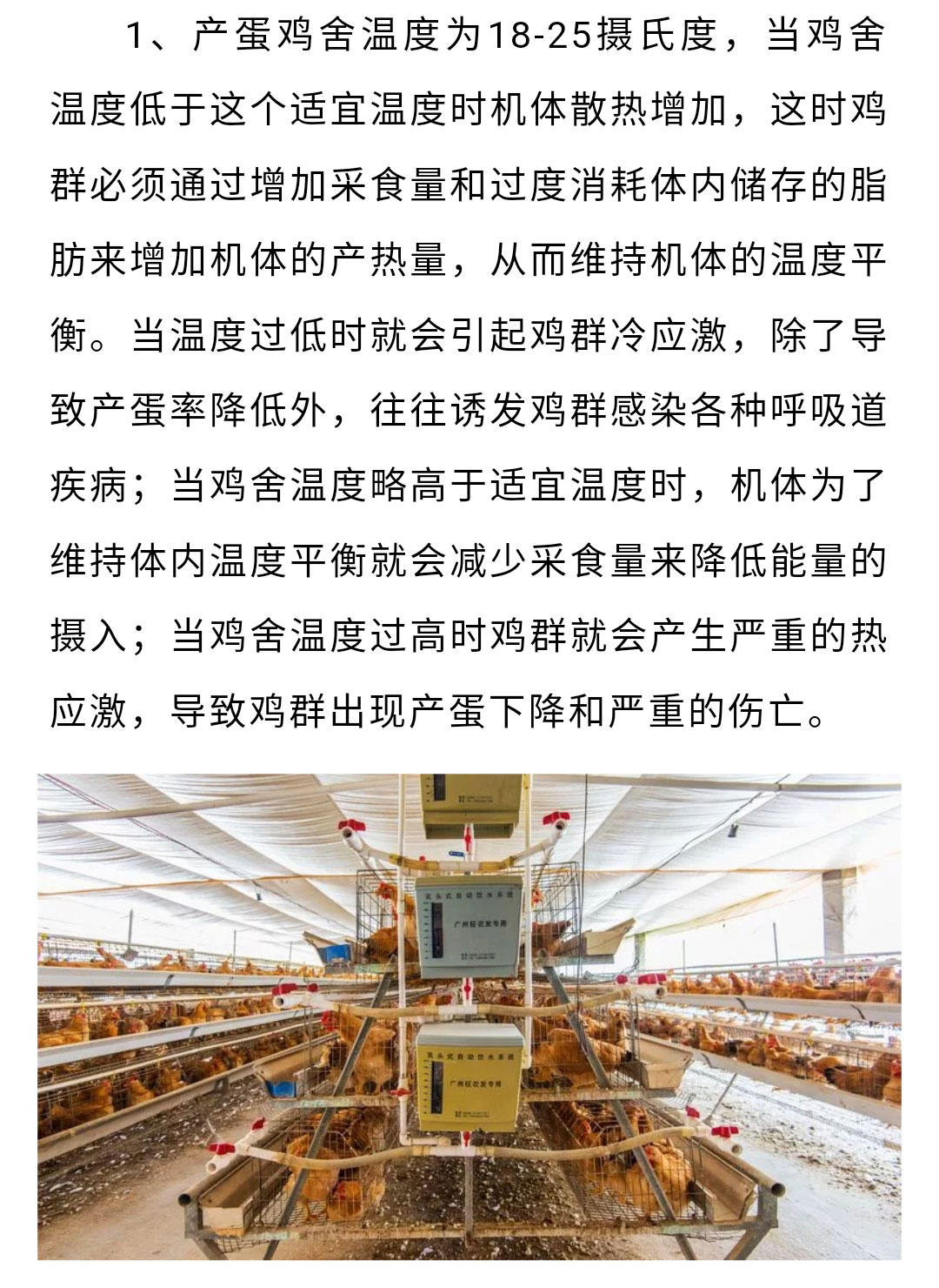 澳门十大电子游戏入口网站
