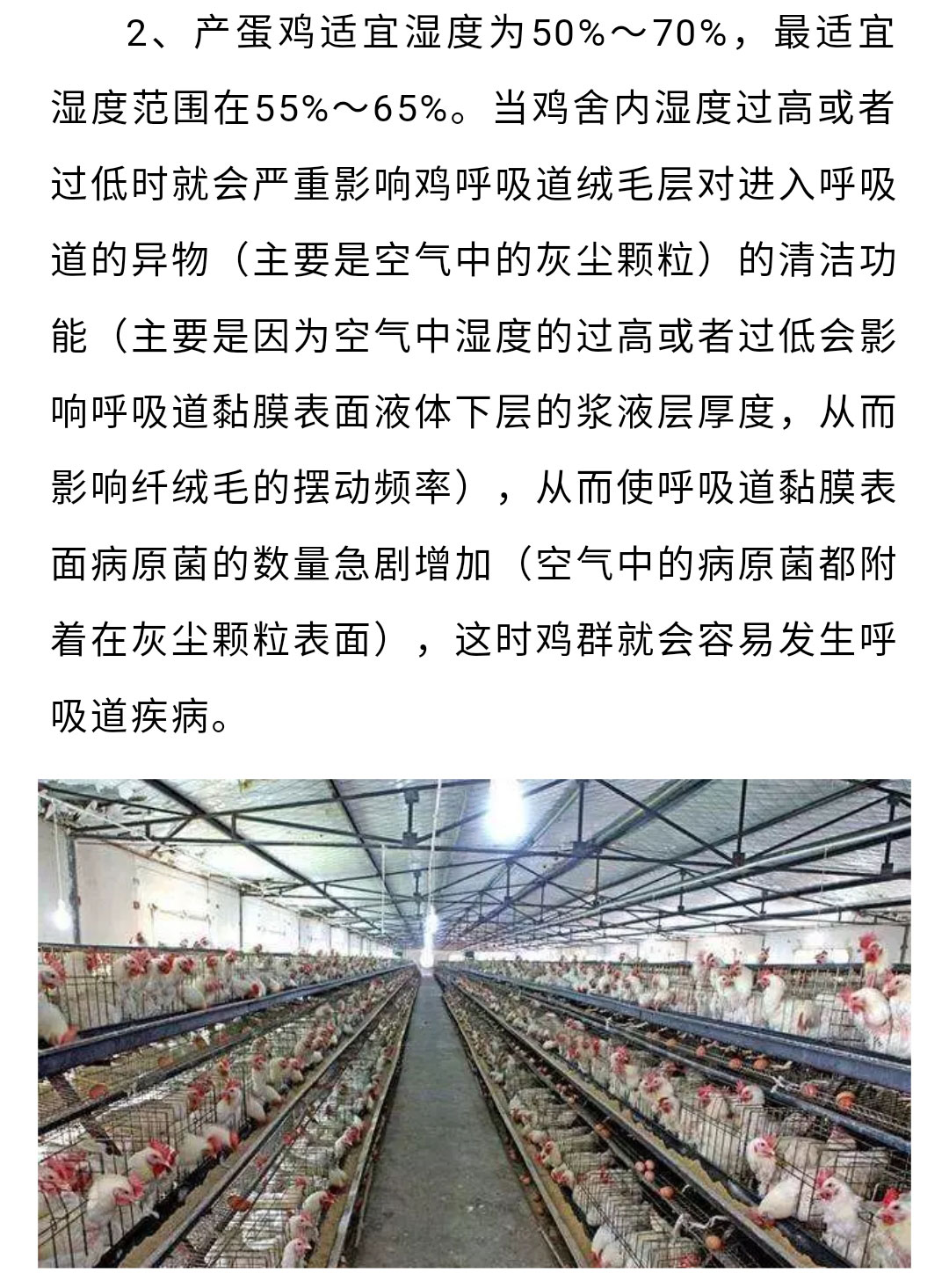 澳门十大电子游戏入口网站