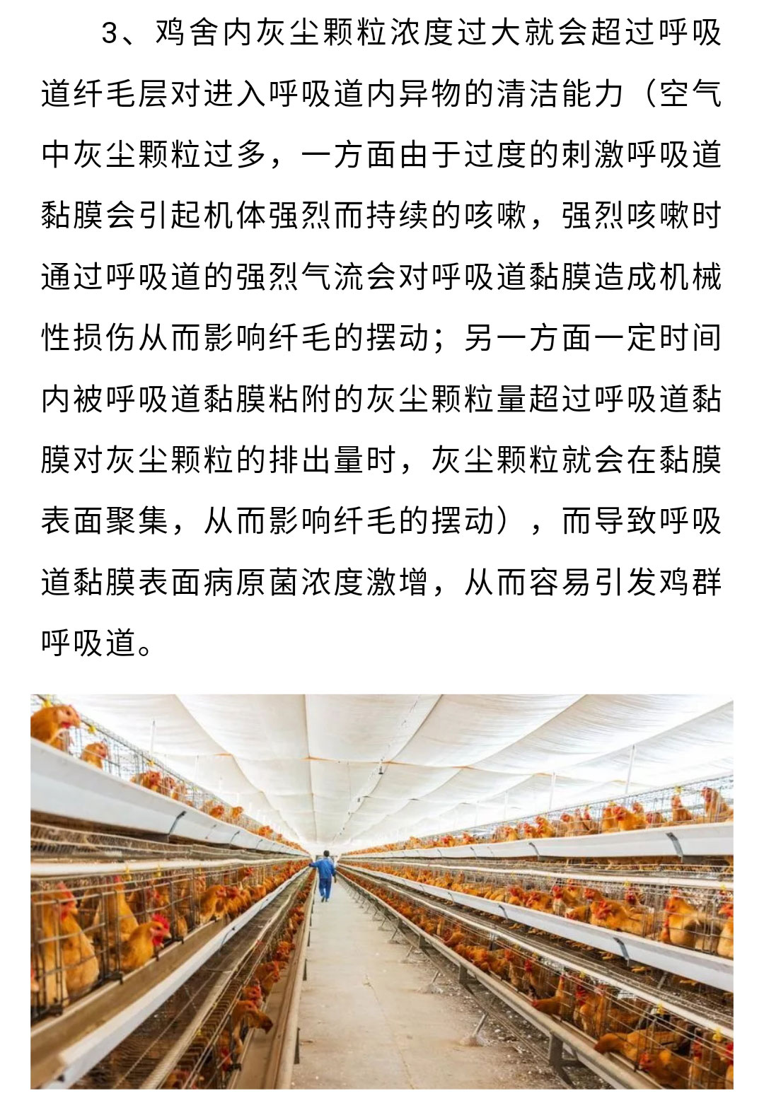 澳门十大电子游戏入口网站
